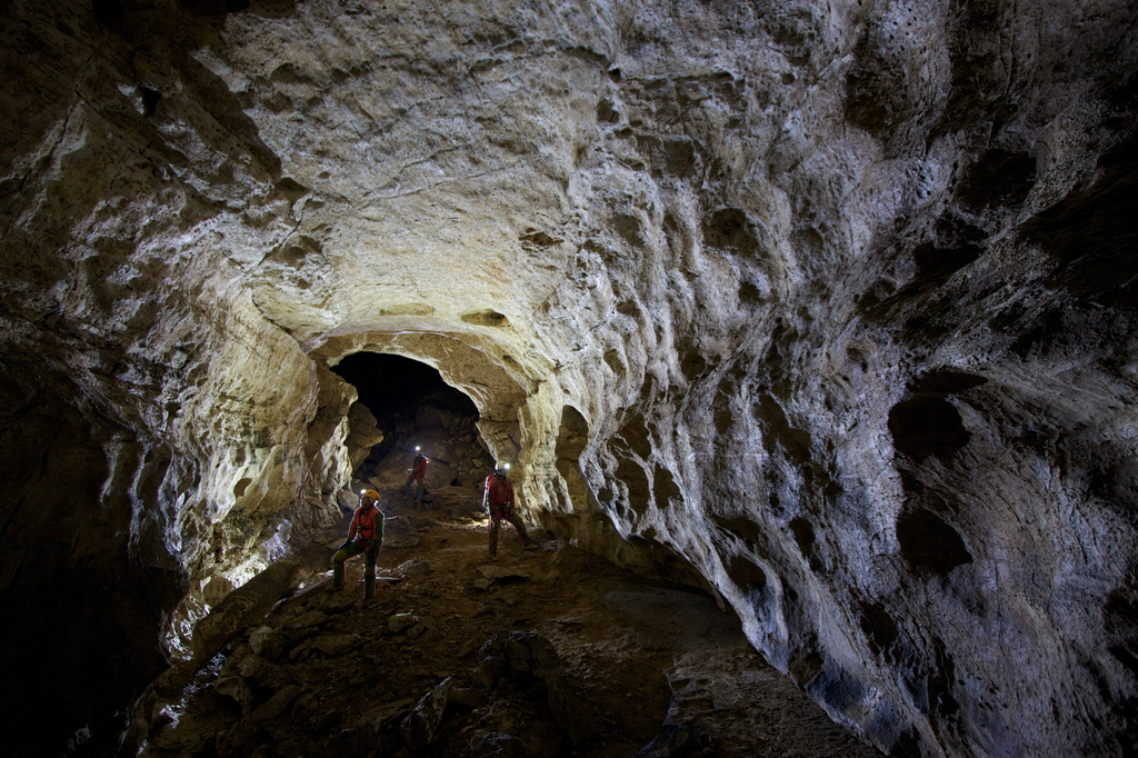 descrizione immagine