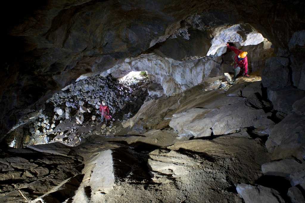 descrizione immagine