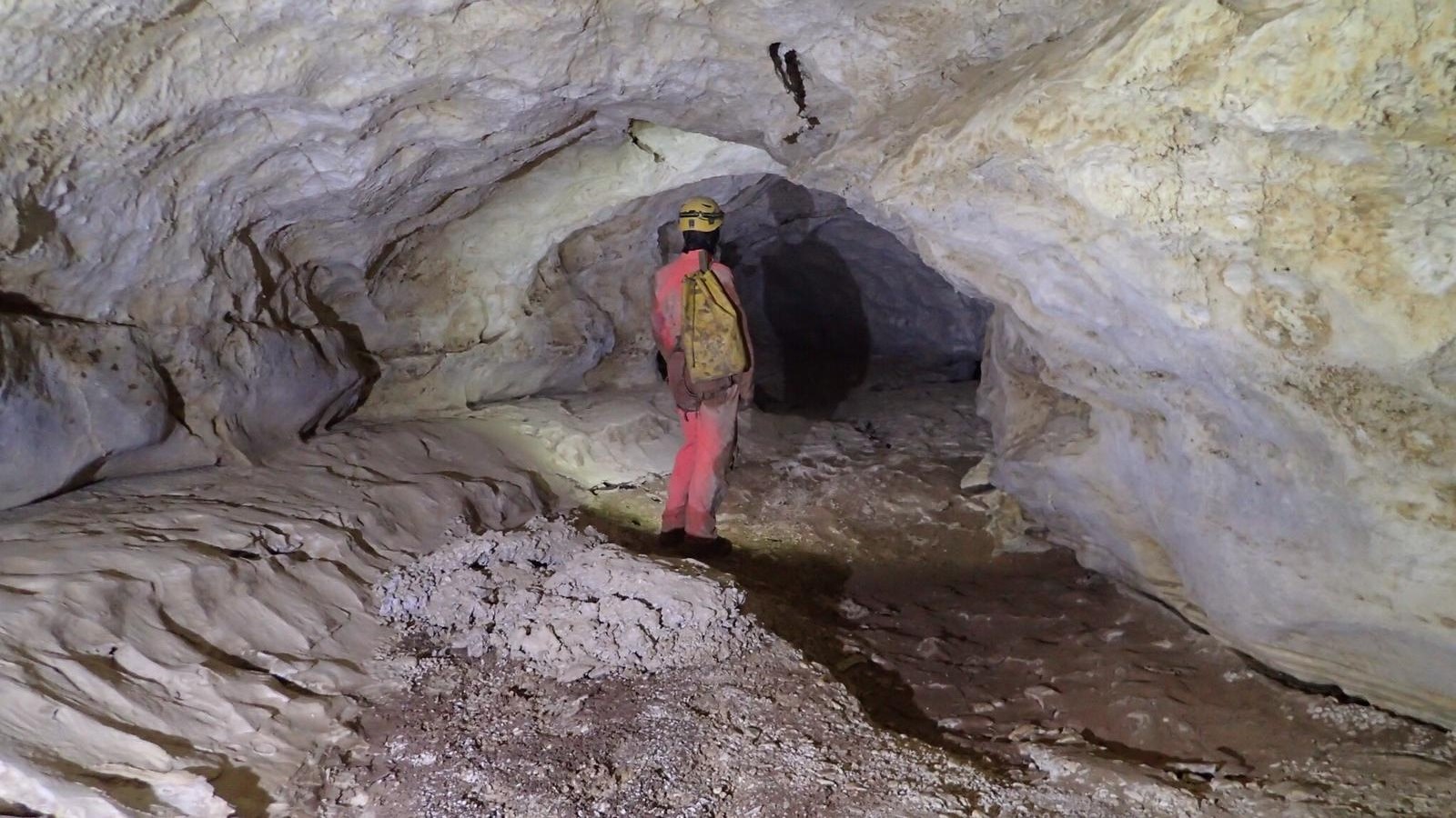 descrizione immagine