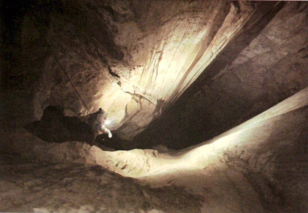 descrizione immagine