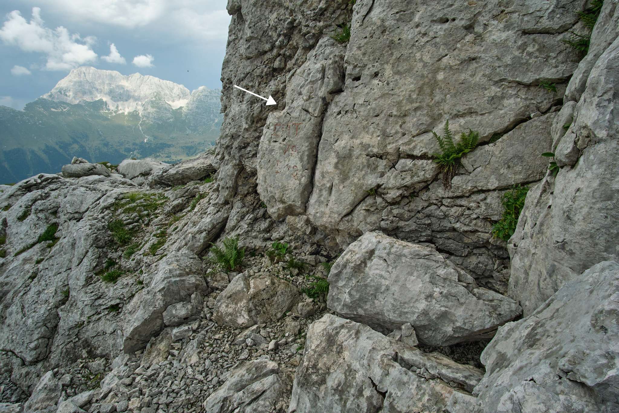 descrizione immagine