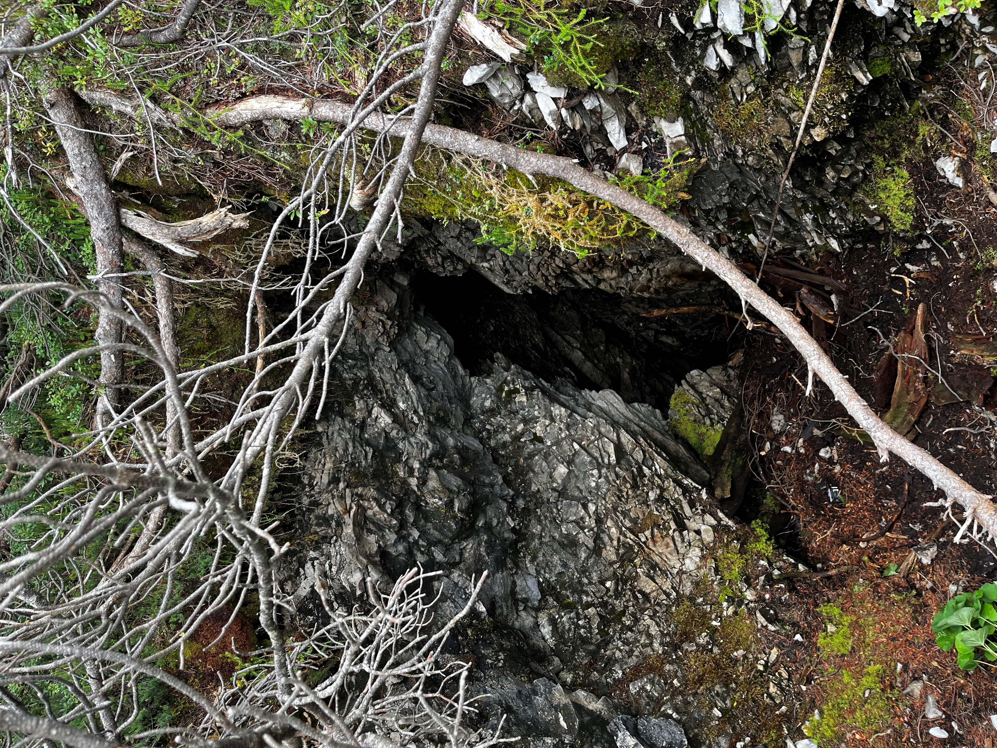 descrizione immagine