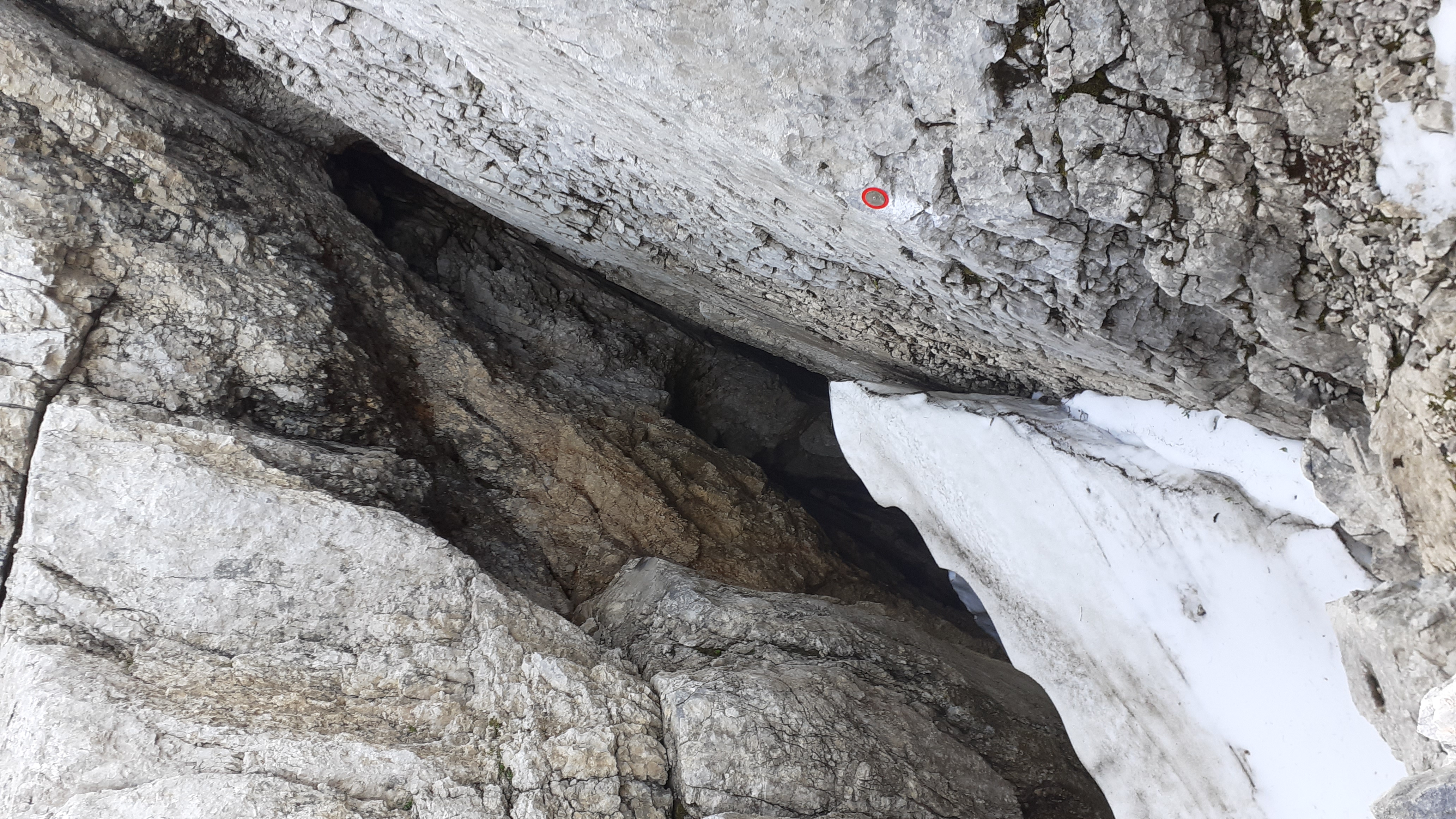 descrizione immagine