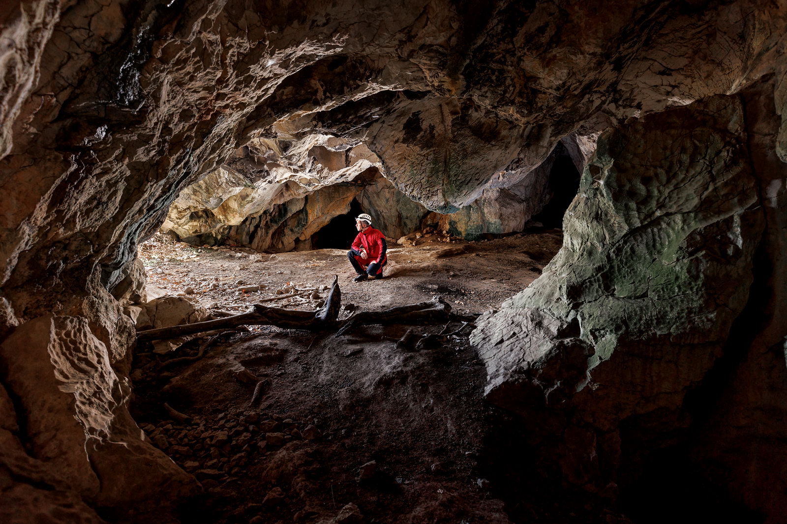 descrizione immagine