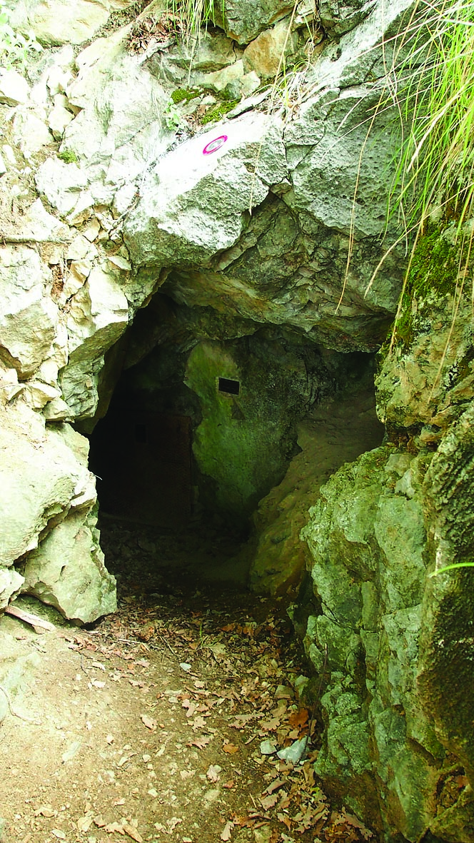 descrizione immagine