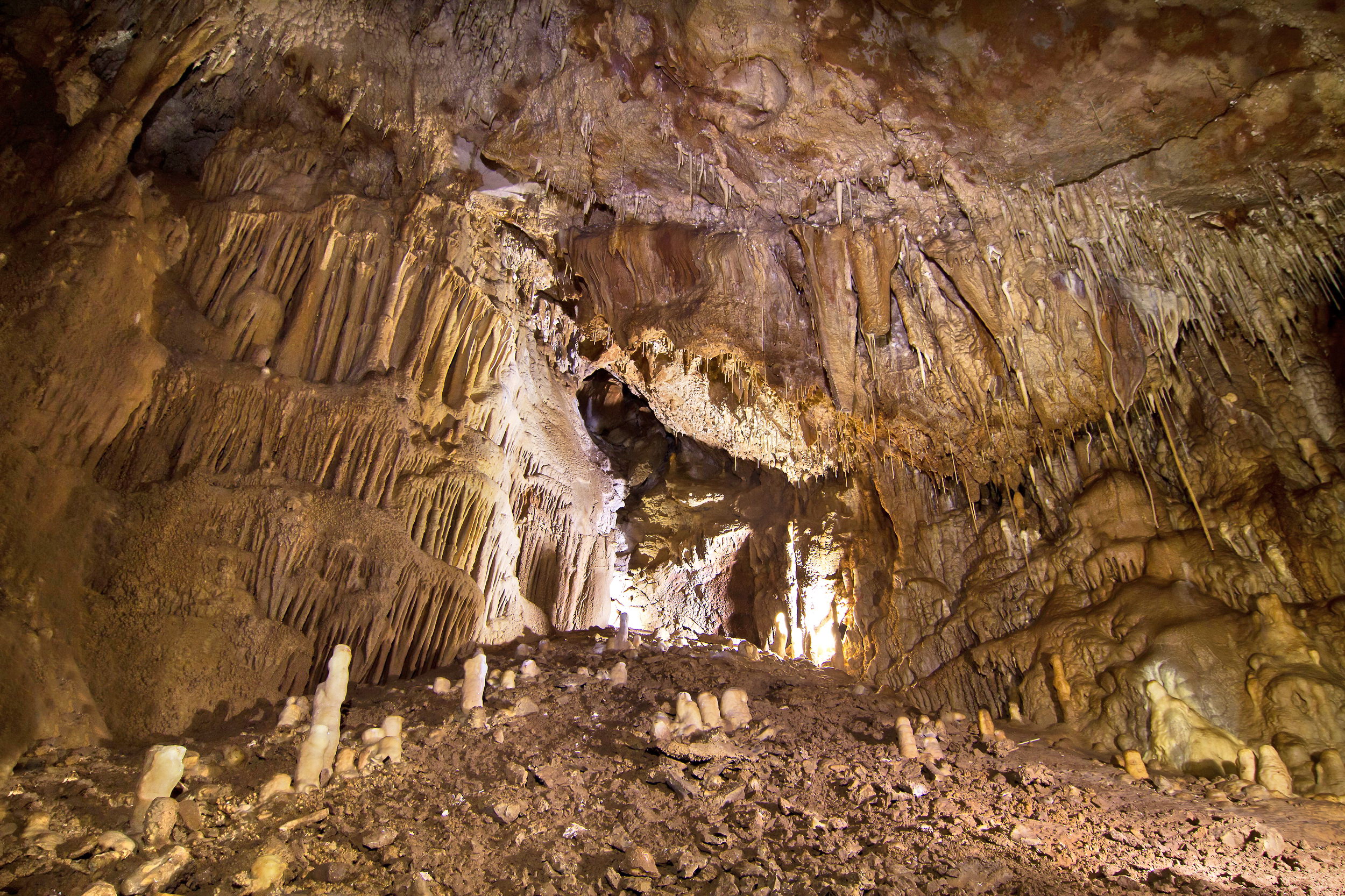 descrizione immagine