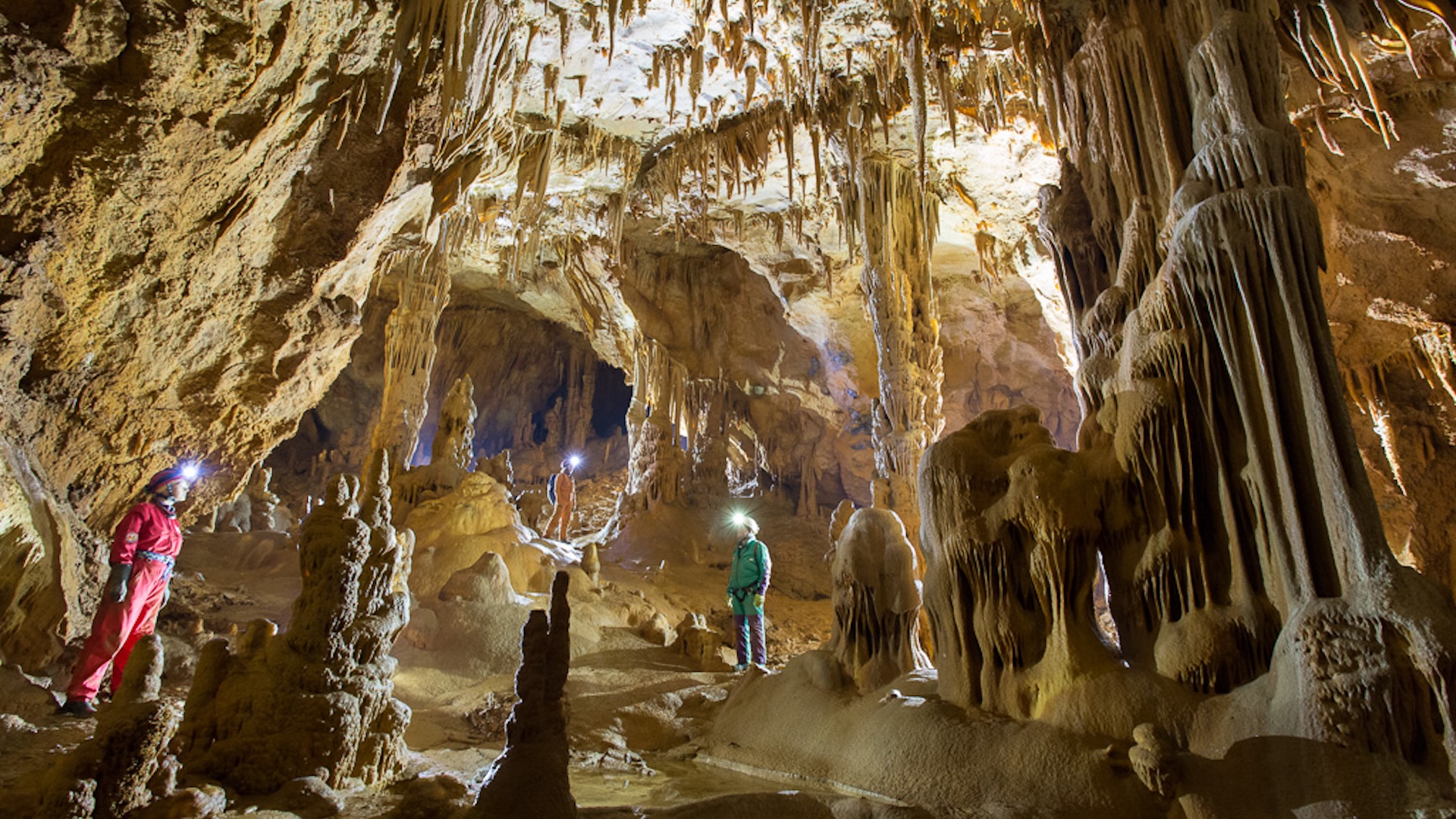 descrizione immagine