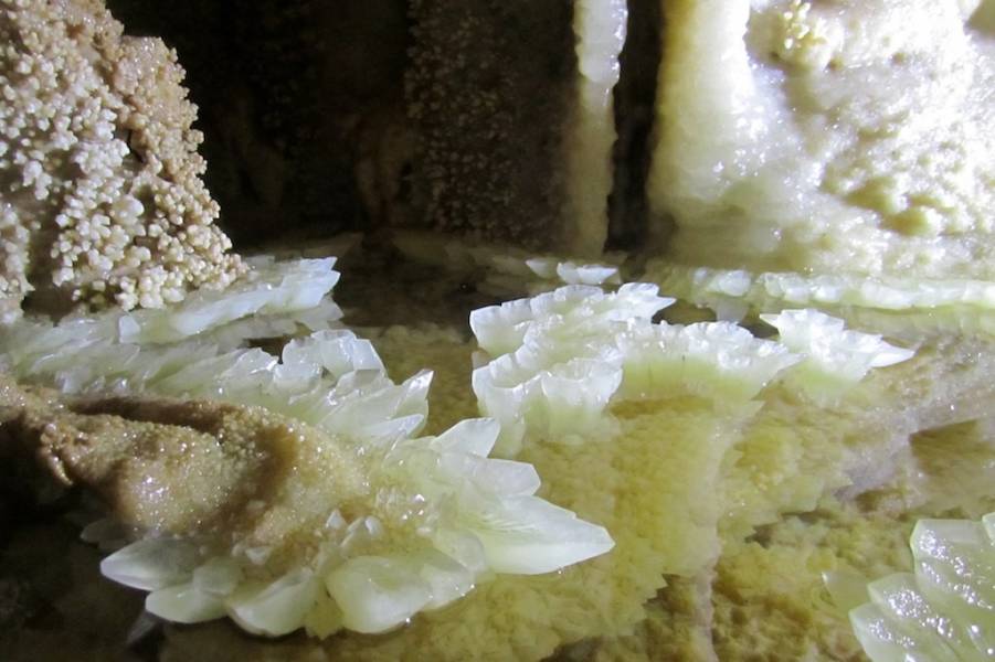 Cristalli di calcite, Grotta Gualtiero Savi - Sandro Sedran (S-TEAM)