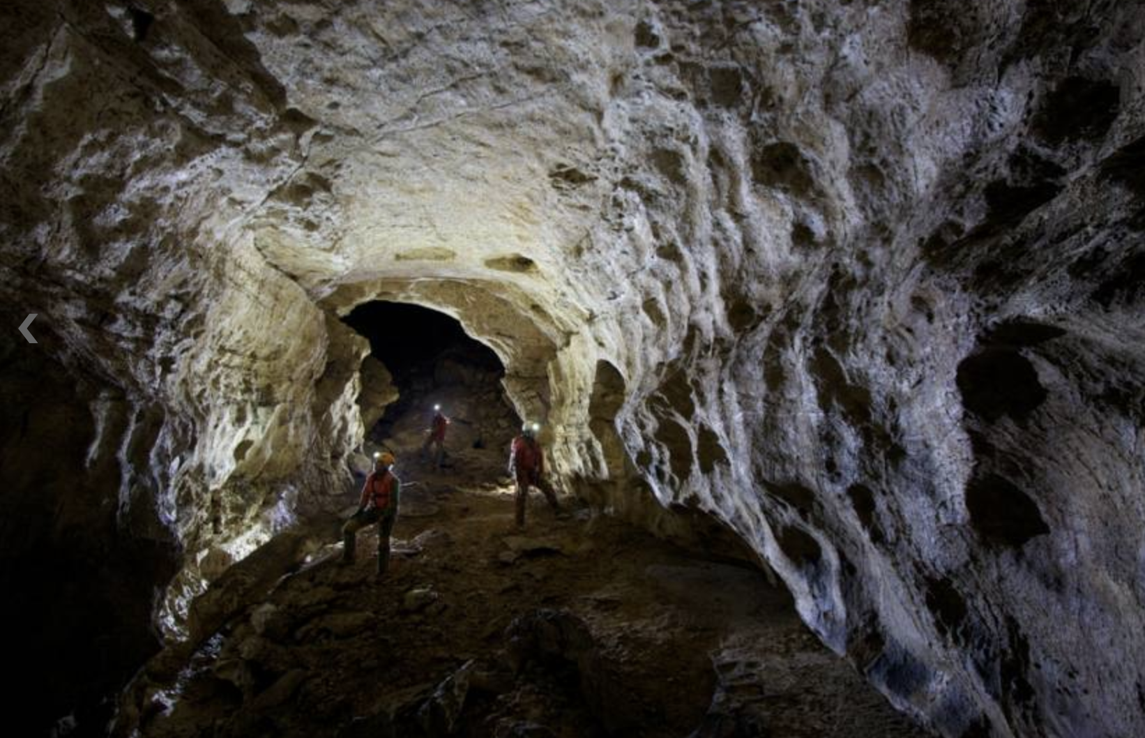 Pubblicato il nuovo layout del sito